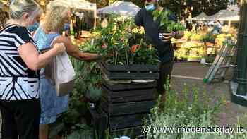 Tutti i colori di fine estate nella nuova edizione di Modena in Fiore - ModenaToday