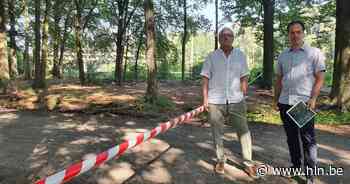 Pijpleiding naar Ruhrgebied blijft voor beroering zorgen in Ranst: elf hectare bos, natuurlijke geluidsbuffer en kasteeltje bedreigd - Het Laatste Nieuws