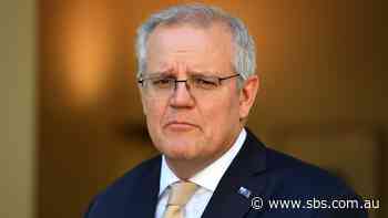 'National shame': Scott Morrison concedes Australia is failing to protect women - SBS News