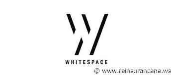 Whitespace bolsters advisory board with Paul Greensmith, Scott Purviance - Reinsurance News