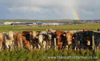Orkney's larder praised ahead of Scottish Food and Drink Fortnight - The Scottish Farmer