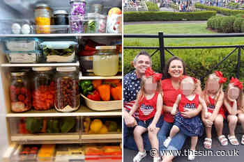 I’m a mum-of-6 but only do the food shop once every THREE weeks – these are my hacks to keep food fresh... - The Sun