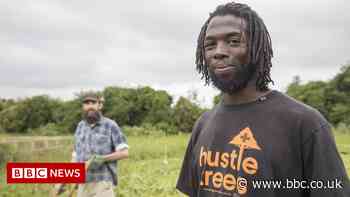 Cambridge co-farming: 'Rethinking how we do food' - BBC News