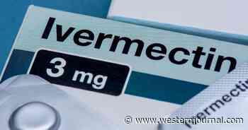 Rolling Stone Offers Pathetic 'Update' to Ivermectin Overdose Story They Got Totally Wrong, Bury the 1 Fact That Killed It