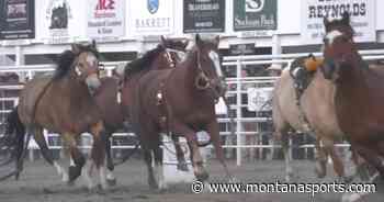Results: Dillon Jaycees PRCA Labor Day Rodeo Round 1 - MontanaSports