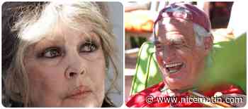 Quand Jean-Paul Belmondo rendait visite à Brigitte Bardot à Saint-Tropez