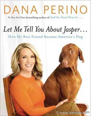 Dana Perino announces 'America's Dog' Jasper has died - Fox News