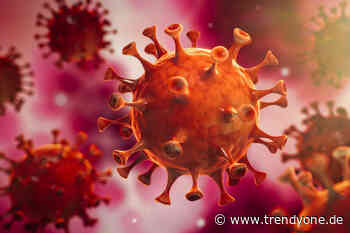 Coronavirus: 7-TAGE-INZIDENZ in der Stadt Augsburg steigt auf: 162,9 - TRENDYone - das Lifestylemagazin