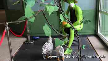 Leserfotowettbewerb 36/2021: Der besondere Blick auf Augsburg - Augsburger Allgemeine