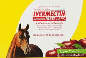 Ivermectin: Can People Take a Drug for Horses and Cows To Treat a Deadly Virus?