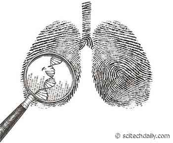 Genetic Analysis Illuminates Origins of Lung Cancer in People With No History of Smoking