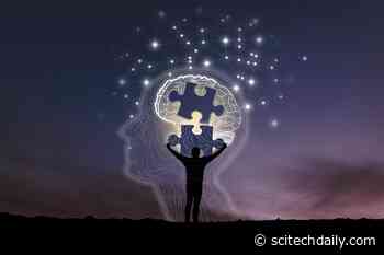 Beyond Dopamine: New Brain Reward Circuitry Discovered