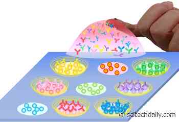 New Diagnostic System Quickly and Accurately Measures Antibodies Against the COVID-19 Virus