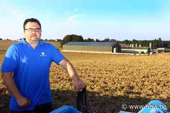 Ondanks sombere zomer bleven zonnepanelen uitvallen door te veel zon - Het Belang van Limburg