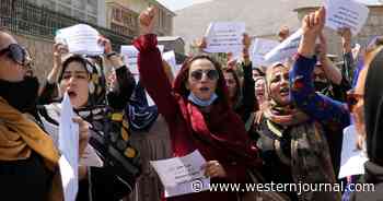 Feminists Take Notice: Afghan Women Face Down Taliban While Fighting for Basic Rights