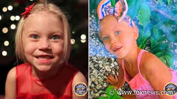 Reward for missing Tennessee girl Summer Wells, 5, exceeds $38K