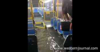 Sit Tight: Bus Driver's Quick Thinking Saves Her Passengers as Disaster Strikes