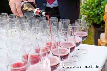 "Di Freisa in Freisa" a Chieri dal 10 al 12 settembre 2021, un viaggio tra enogastronomia, cultura e bellezza - Notizie Torino - Cronaca Torino