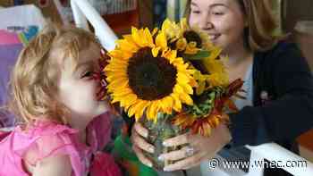 Wickham Farms prepares for 'Spread the Sunshine' event