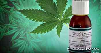 New low-THC Texas medical marijuana law expands qualifiers - KRIS Corpus Christi News