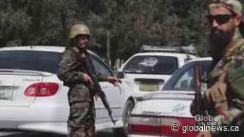 Interpreter pleads for Canada’s help to evacuate Afghanistan