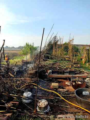 Ancora fuoco ad Ardea: ieri due roghi in zona Salzare. Task force per spegnerli - Il Caffè.tv
