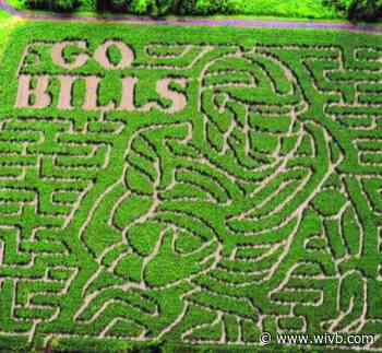 Great Pumpkin Farm unveils Bills-themed corn maze design