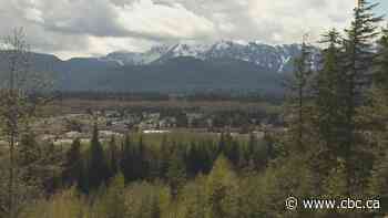 Computer glitch led to false reports about earthquake in B.C., says seismologist