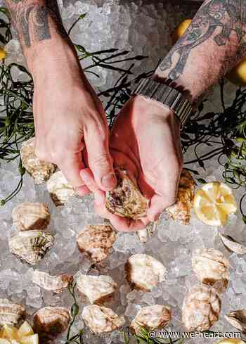 Bayberry Garden Providence Rhode Island, Bayberry Beer Hall - We Heart