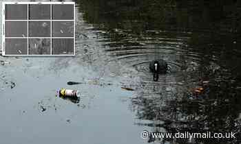 Plastic pollution in lakes could become a breeding ground for algae that benefit the environment