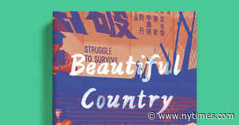 New to the American Melting Pot, and Finding Its Taste Bittersweet