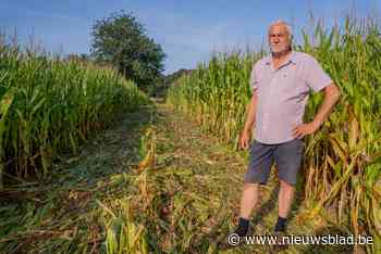 <B>Zeshonderd vierkante meter van maisdoolhof De Merelhoeve vernield</B>