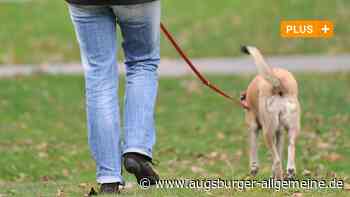 Hier müssen Hunde im Landkreis Aichach-Friedberg an die Leine - Augsburger Allgemeine