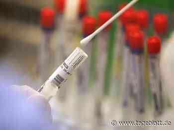 Inzidenz in Niedersachsen leicht gesunken, meiste Neuinfektionen in Bremen - Landkreis Stade - Tageblatt-online