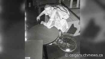 Arrest made in break-ins at Simply Irie in southwest Calgary, more suspects sought - CTV News Calgary