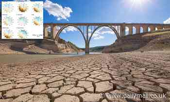 Climate change could DOUBLE the frequency of extreme regional summer droughts in Europe