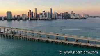 Miami-Dade Investigating Fish Kill in Biscayne Bay