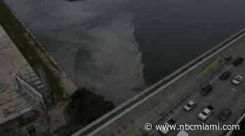 FDOT Issued Citations for Pollution Caused at Construction Sites