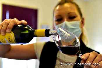 Dans le Sud-Est, la production viticole en recul de 16%, en 2021