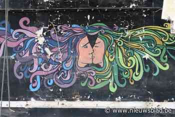 Mysterieuze muurschildering houdt Schoten in de ban