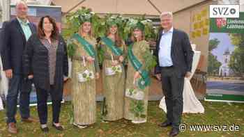 10 Jahre Ludwigslust-Parchim: Ämter und Städte präsentieren sich kreativ zum Kreisgeburtstag | svz.de - svz – Schweriner Volkszeitung