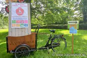 Op Wielekes begint aardig te bollen