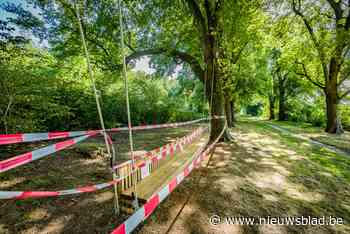 Grote schommel is buiten gebruik: “Schade aan ophanging”