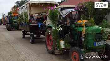 Erntezeit rund um Parchim: Erntewagen rollen wieder durch Damm | svz.de - svz – Schweriner Volkszeitung