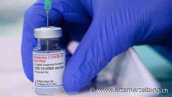 Impfen in den Covid-Points in Steinen und Pfäffikon - Luzerner Zeitung