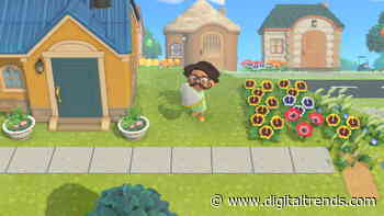 Animal Crossing: New Horizons bug guide for September 2021