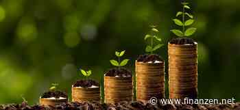 Nachhaltige Chancen nutzen - mit Aktien den Wandel gestalten!