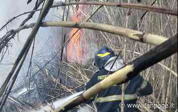 Incendio a Fiumicino, in fiamme erba e canneti vicino alle case: fumo visibile anche dalla spiaggia - Fanpage.it