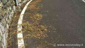 Erba tagliata a Valmadrera, la Lega: “Grazie, ma andava anche raccolta. L'amministrazione vigili” - LeccoToday