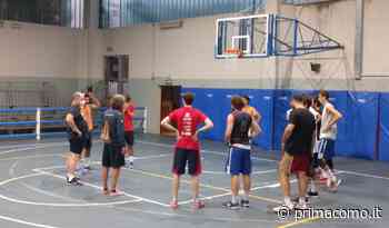 Basket C Silver, Le Bocce Erba è già al lavoro sotto la regia di coach Arturo Fracassa - Prima Como